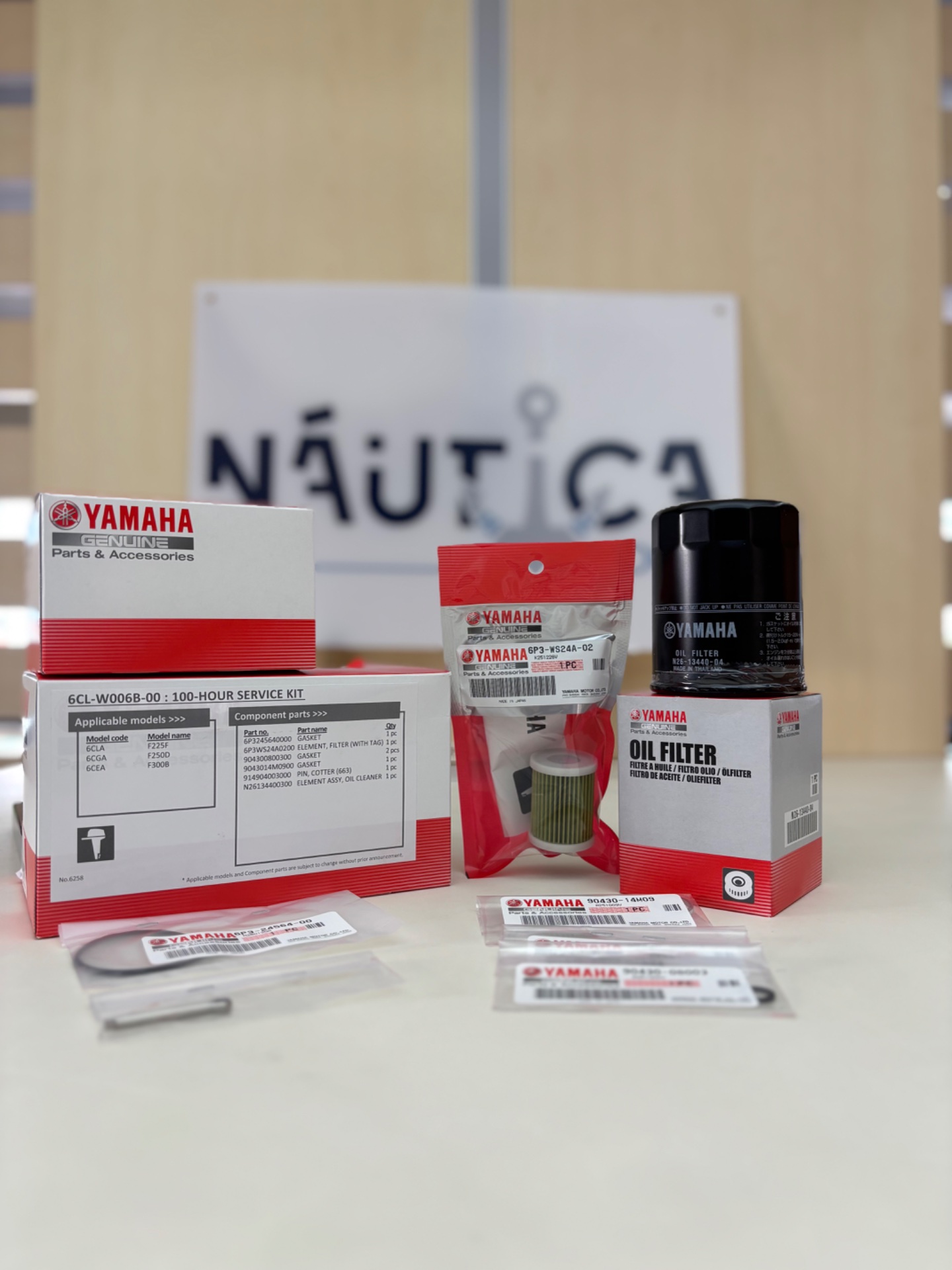 Kit Manutenção 100H F225F, F250D, F300B