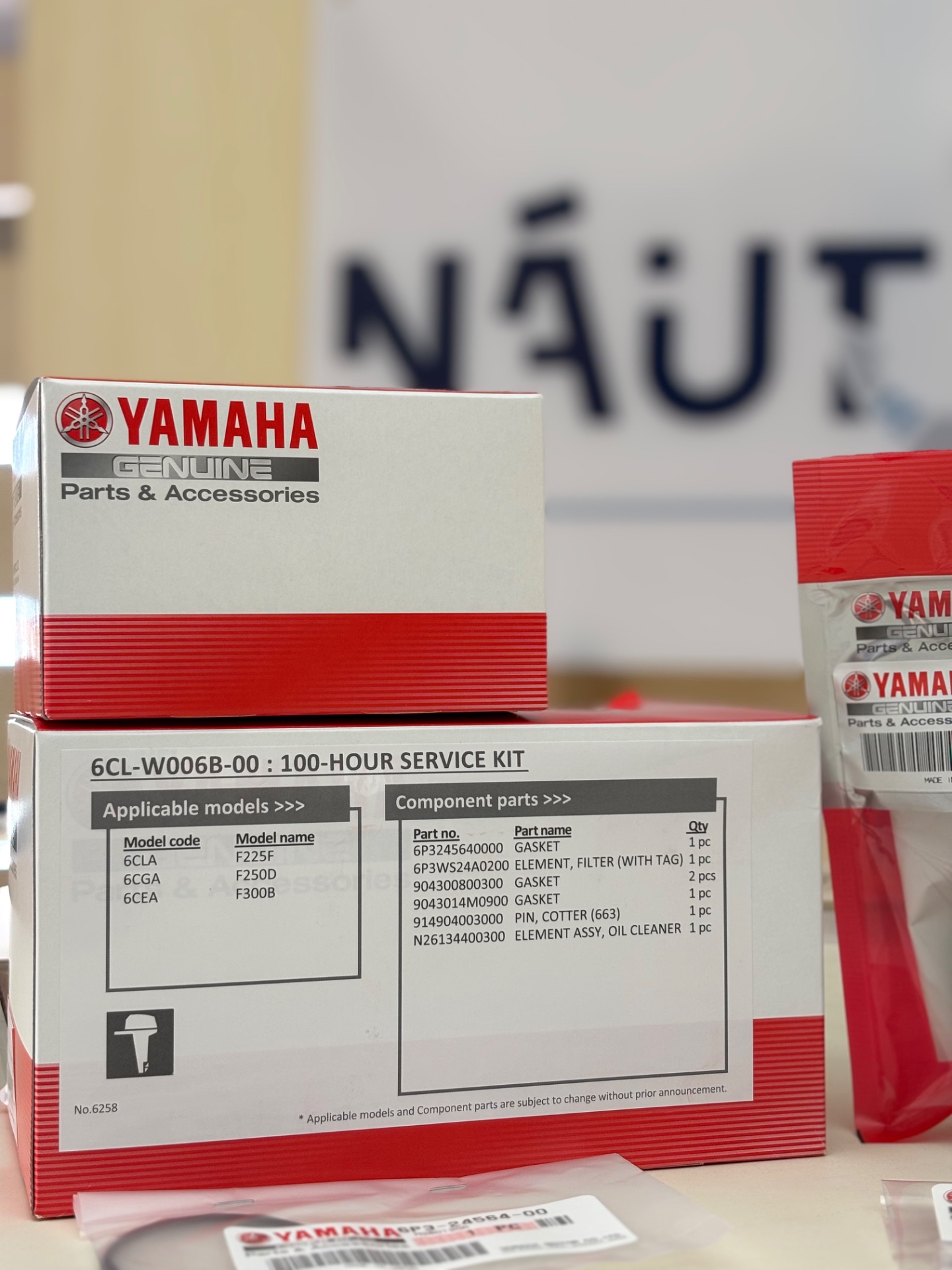 Kit Manutenção 100H F225F, F250D, F300B 2