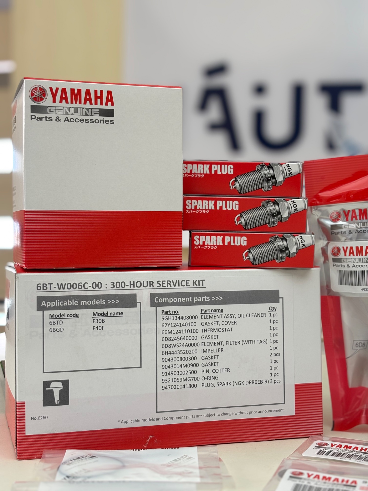 Kit Manutenção 300H YH F30B F40F 2