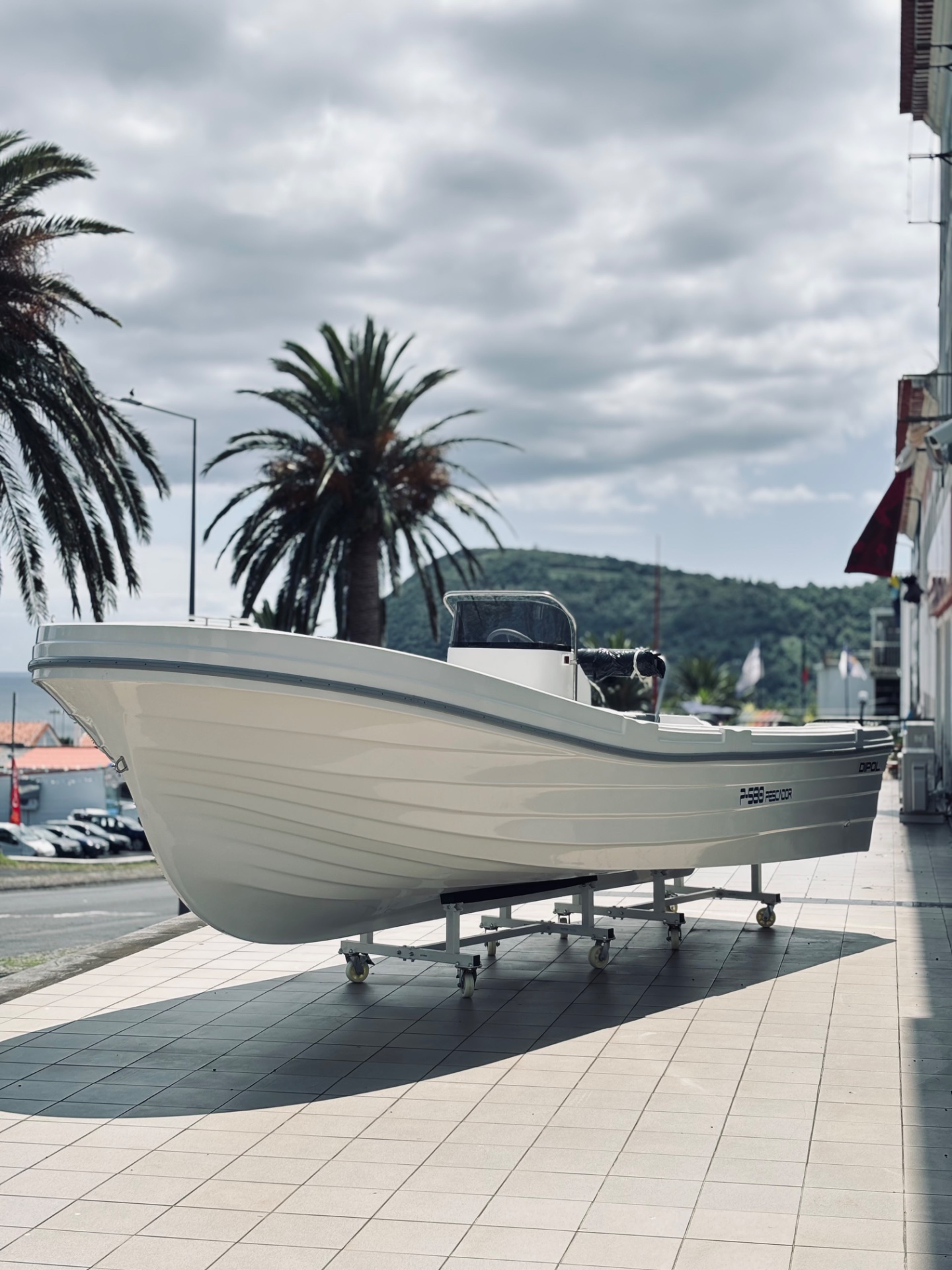 DIPOL P-580 PESCADOR